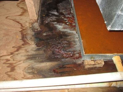 About West Palm Beach Water Damage Pros - water damage restoration experts in West Palm Beach